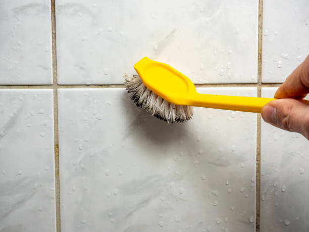 Reliable Hilliard, OH Mold Removal Solutions