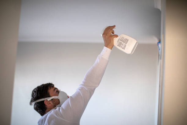 Best Home Mold Removal  in Hilliard, OH