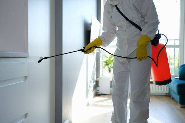 Best Mold Damage Repair  in Hilliard, OH
