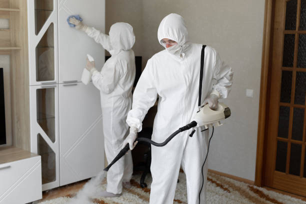 Best Mold Testing  in Hilliard, OH