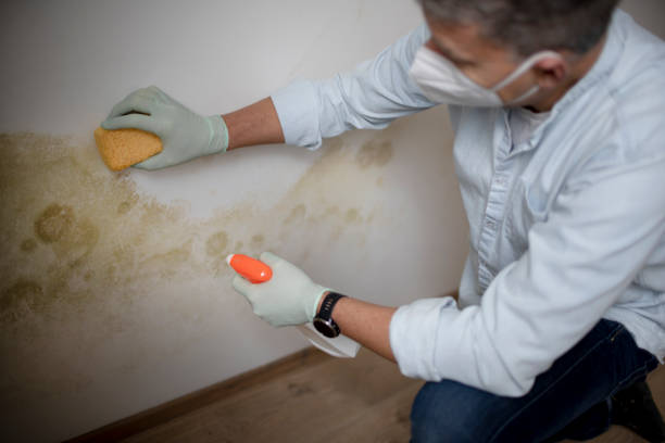 Best Mold Testing  in Hilliard, OH