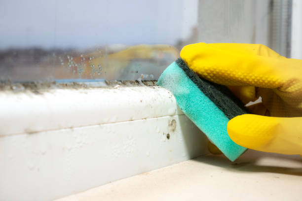 Best Residential Mold Removal  in Hilliard, OH