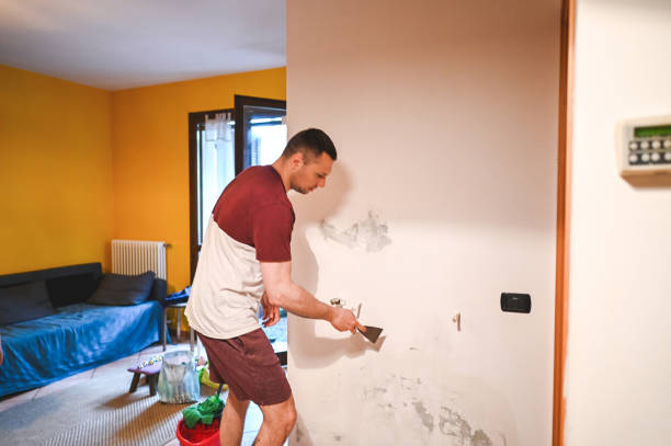 Best Mold Remediation Experts  in Hilliard, OH